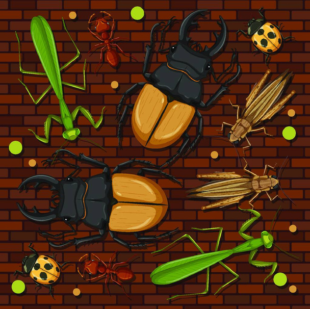 "Set of different insects on wooden wallpaper background" - Vector, Image