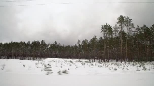 Ormanda karla kaplı kaygan bir yolda dikkatli bir şekilde araba kullanmak. Araba kışın boş yolda gidiyor..  - Video, Çekim