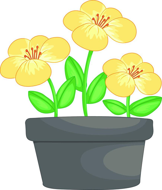 Flowers in a pot   vector  illustration - Вектор, зображення