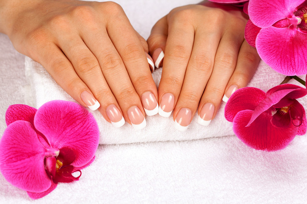 hands with french manicure - Photo, Image