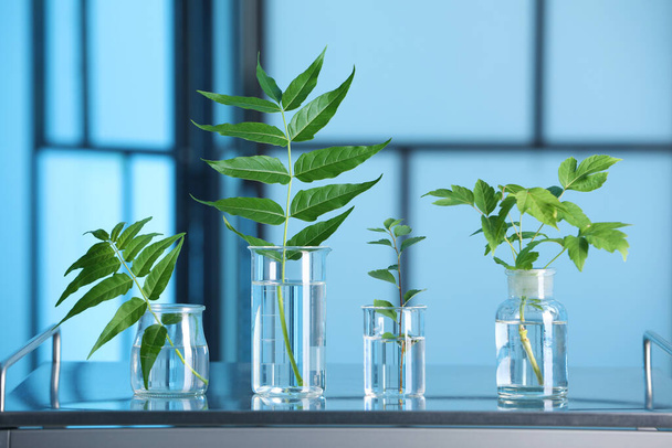 Laboratory glassware with plants on metal table, toned in blue - Zdjęcie, obraz