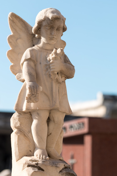Estatua de ángel - Foto, imagen