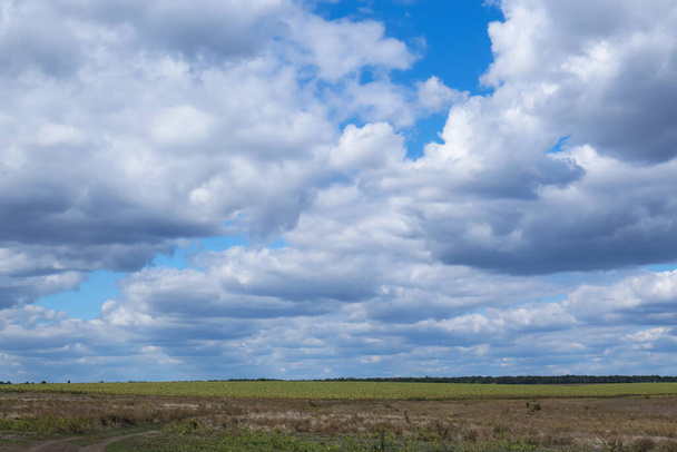 Picturesque view of beautiful fluffy clouds in light blue sky above field - Valokuva, kuva