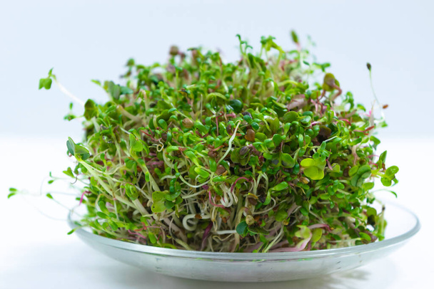 Bunch of young sprouts of microgreens, grown for food in a jar, on a glass saucer. Concept of growing greens for healthy eating, vegetarianism, wholesome foods and veganism. White background. Close up. - Photo, Image