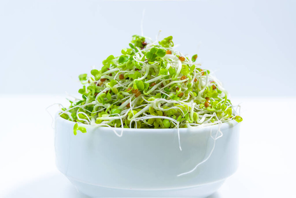 Young green radish microgreen sprouts with roots, grown for food in bowl. Concept of growing greens for healthy eating, vegetarianism, wholesome foods and veganism. White background. Close up - Photo, Image