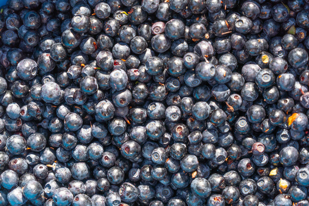 A group of blueberries. Gifts of nature and forests. Healthy eating. Fruit background. - Photo, Image