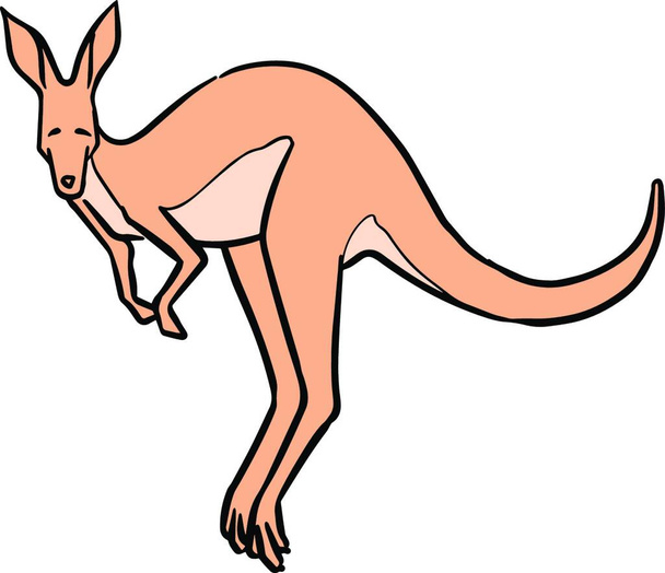 Hand drawn jumping kangaroo color vector illustration - Vektor, obrázek