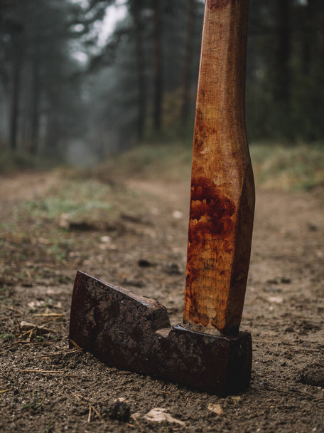 Murder weapon, bloody axe in mud. - Photo, Image