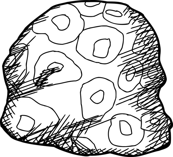 Zarys Spherulitic Rhyolite Rock - Wektor, obraz