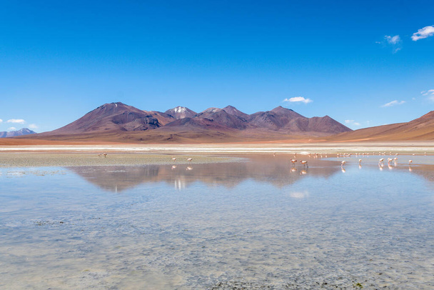 panoramatický pohled na národní park eduardo avaroa v Bolívii - Fotografie, Obrázek