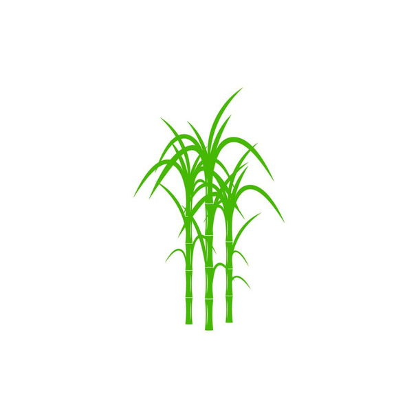 Символ вектора логотипа тростника  - Вектор,изображение