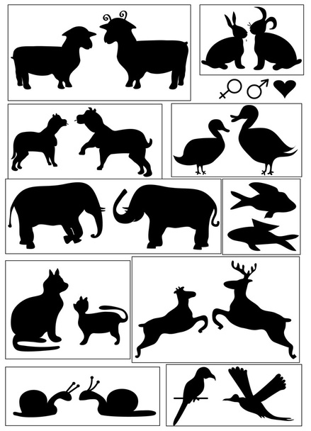 Símbolos animales
 - Vector, imagen