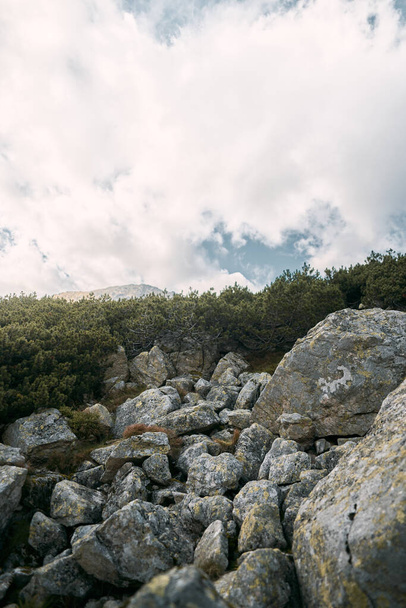 Camino de piedra natural en el parque nacional. Concepto de infraestructura turística en las montañas. - Foto, Imagen
