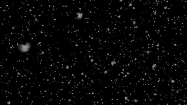 Realistic snowfall overlay, black background - winter, slowly falling snow effect. - Footage, Video