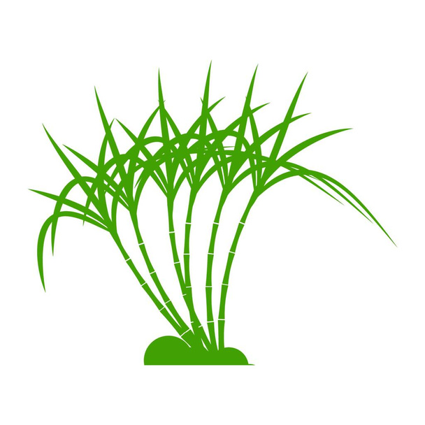 "Caña de azúcar Logo Plantilla vector símbolo " - Vector, imagen