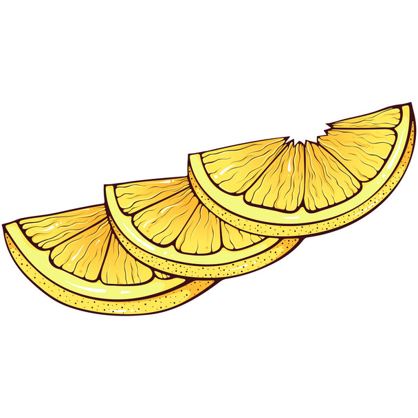 Three lemon slices. Vector color illustrations in hand drawn cartoon style. Fresh organic food isolated on white. Close up citrus fruit. Element for cookbook, sticker, design, print. - Vettoriali, immagini
