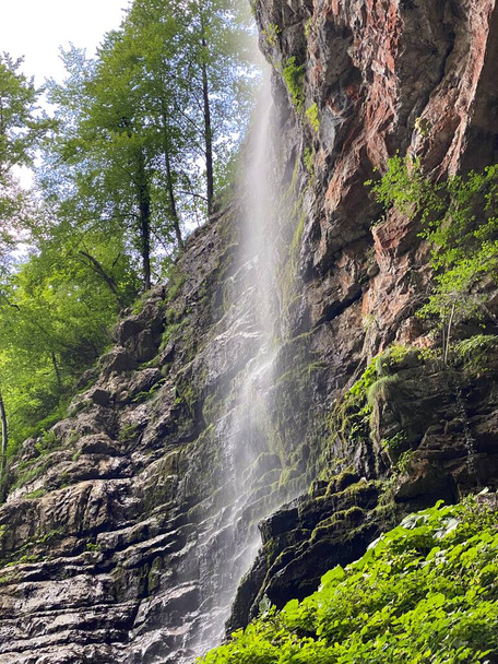 Zeleni vir cascata o Curak cascata nel paesaggio significativo Green whirpool - Croazia (Slap Zeleni vir ili vodopad Curak u znacajnom krajoliku Zeleni vir, Skrad - Gorski kotar, Hrvatska) - Foto, immagini