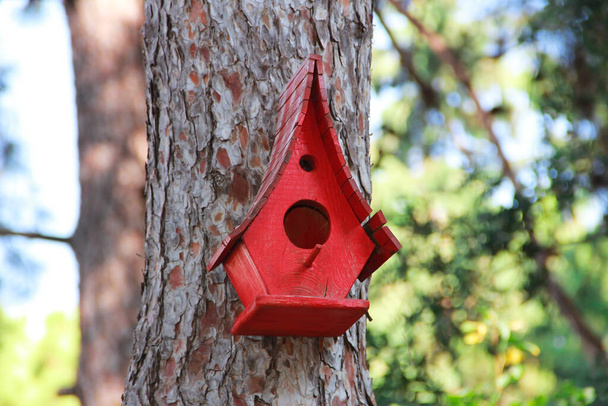 drewniany dom karmnik ptaków do schronienia w zimnie - Zdjęcie, obraz