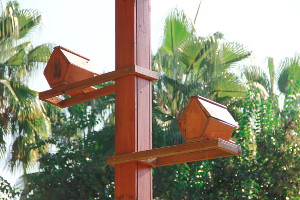 mangeoire à oiseaux maison en bois pour abri dans le froid - Photo, image