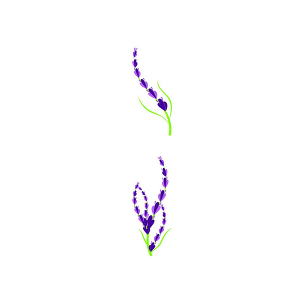 "Lavender Logo Template vector symbol" - Vector, Image