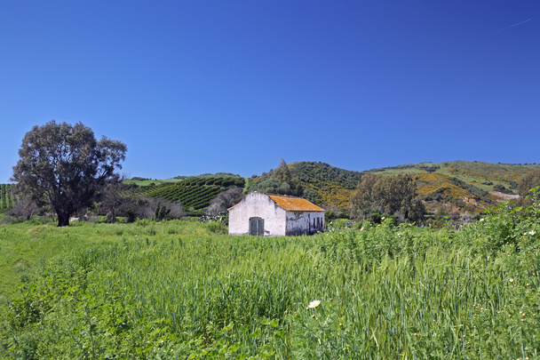 verlaten boerderij in kleurrijke veld in Spanje - Foto, afbeelding