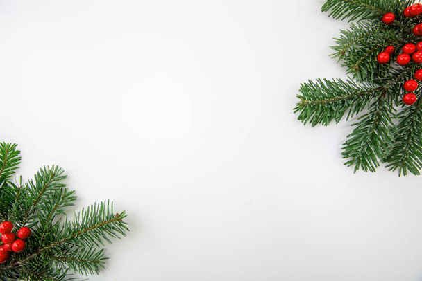Christmas Fir oksa valkoisella taustalla, kopioi tilaa. Joulun tuoreita oksia ja punaisia talvimarjoja koristelu. Hyvää joulukorttia malli - Valokuva, kuva