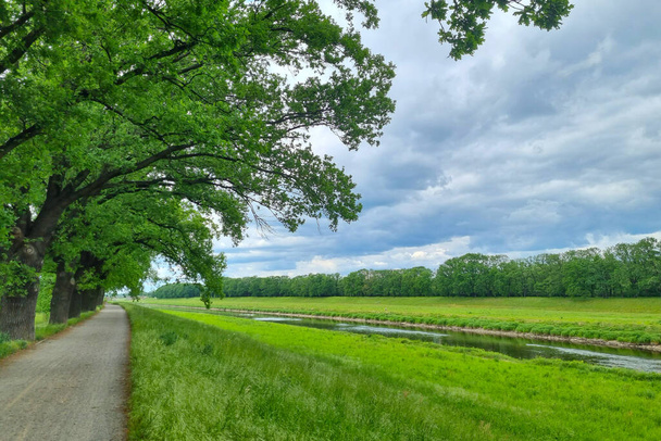Scénický výhled na zelenou louku a stromy v letní den - Fotografie, Obrázek