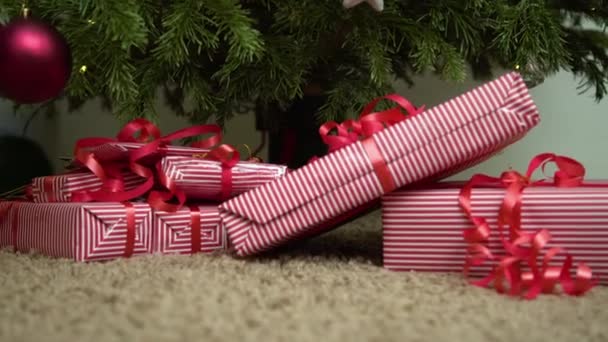 Envuelto regalos bajo el árbol de Navidad. Regalos bajo el pino decorado.  - Imágenes, Vídeo