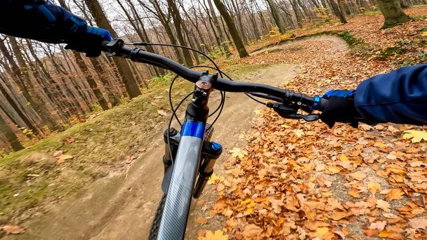 Enduro bicycle ride on the forest trails in the autumn season - Photo, Image
