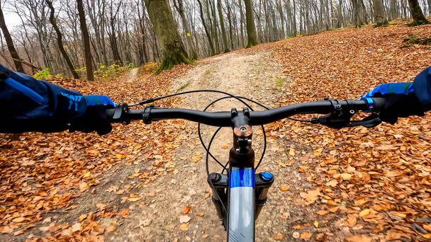 Ποδήλατο Enduro στα μονοπάτια του δάσους κατά την φθινοπωρινή περίοδο - Φωτογραφία, εικόνα