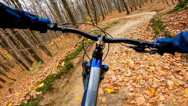 Paseo en bicicleta enduro por los senderos del bosque en la temporada de otoño - Foto, Imagen