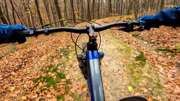 Enduro bicycle ride on the forest trails in the autumn season - Photo, Image