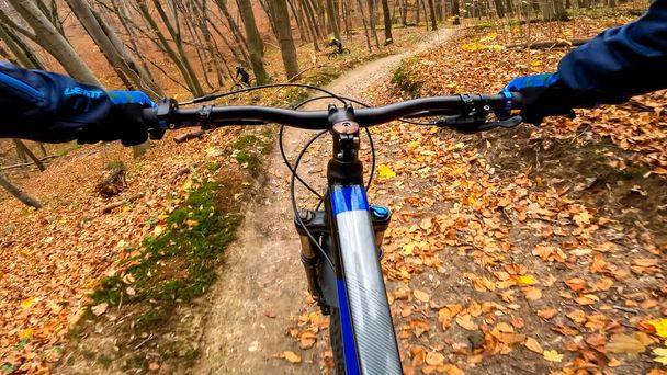 Ποδήλατο Enduro στα μονοπάτια του δάσους κατά την φθινοπωρινή περίοδο - Φωτογραφία, εικόνα