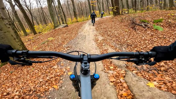 Sonbahar mevsiminde orman yollarında bisiklet sürmeye dayanır. - Fotoğraf, Görsel