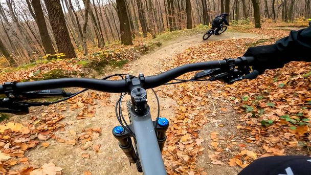 Enduro jízda na kole na lesních stezkách v podzimní sezóně - Fotografie, Obrázek
