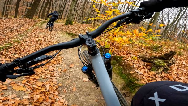 Passeio de bicicleta de Enduro nas trilhas da floresta na temporada de outono - Foto, Imagem