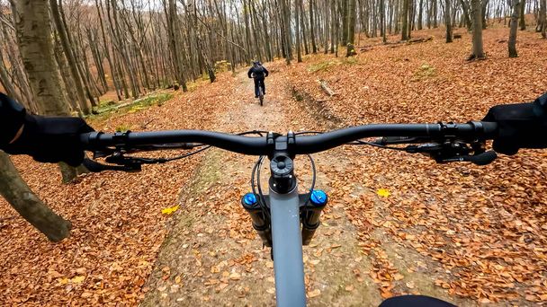 Passeio de bicicleta de Enduro nas trilhas da floresta na temporada de outono - Foto, Imagem