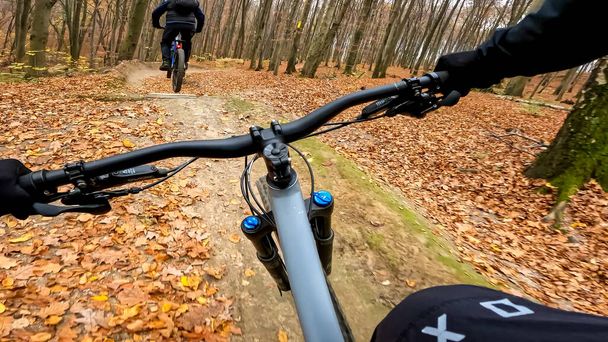 Sonbahar mevsiminde orman yollarında bisiklet sürmeye dayanır. - Fotoğraf, Görsel