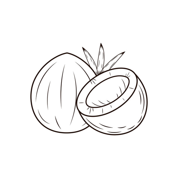 Coconut. Half and whole nut with leaves. - Vector, Image