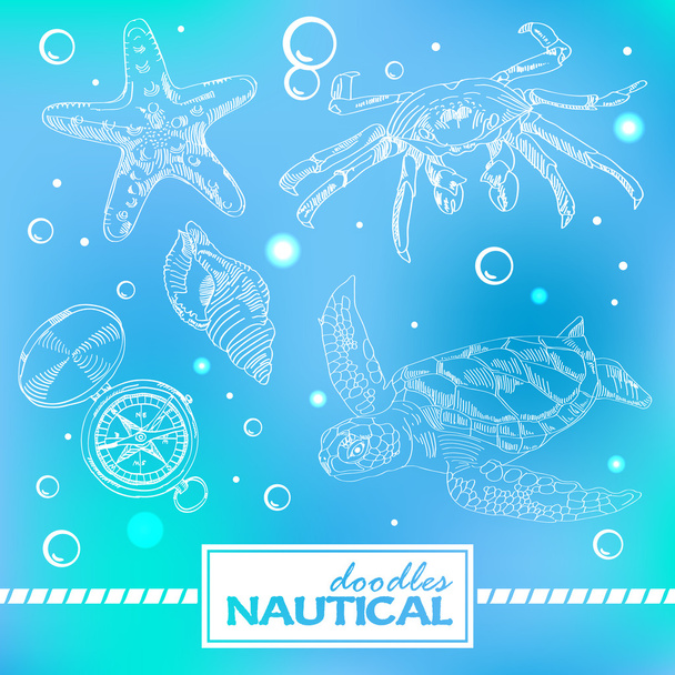 Set of nautical doodles with turtlesand crab - Vector, Imagen