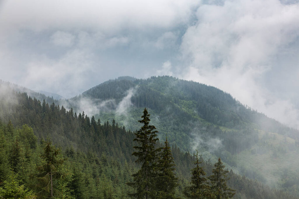 Misty dark forest mountain range in gray deep fog and clouds rising up, Carpathians mountains, Chornogora, Ukraine - Foto, imagen