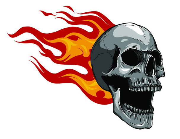 Calavera en llamas Ilustración en fondo blanco
 - Vector, imagen