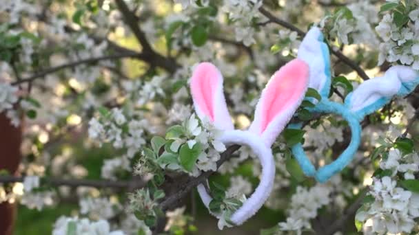 orecchie di coniglio su alberi in fiore, Pasqua. - Filmati, video