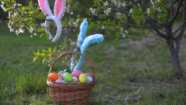 painted Easter eggs in basket on grass. Traditional decoration in sun light. - Footage, Video