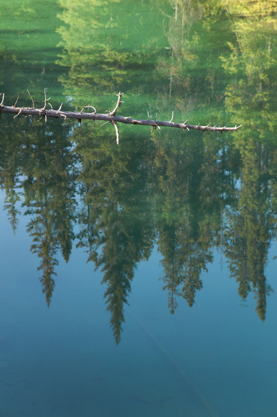 Канадський краєвид з озера і ліси. Яшма. Канада - Фото, зображення