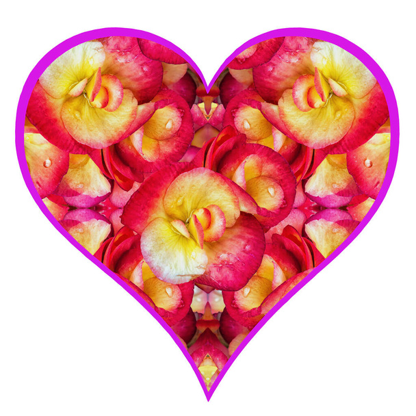 Szív alakú szimbólum a szerelem napja különböző virág virágok lila keret fehér háttér elszigetelt - Fotó, kép