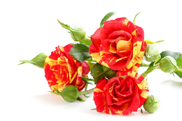 Bouquet de belles fleurs roses pour les cadeaux de vacances
 - Photo, image