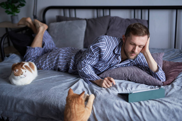 Junger bärtiger kaukasischer Mann im Pyjama am Morgen, der auf einem Bett liegt und Online-Einkäufe macht oder von zu Hause aus unterrichtet. Zwei gestromte Katzen sitzen in der Nähe. Hochwertiges Bild - Foto, Bild