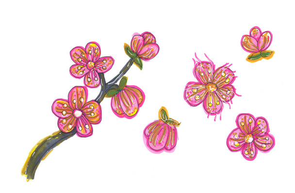 Conjunto de mão desenhado ramo sakura florescendo e flores em estilo cartoon no fundo branco. Ilustração do marcador. - Foto, Imagem