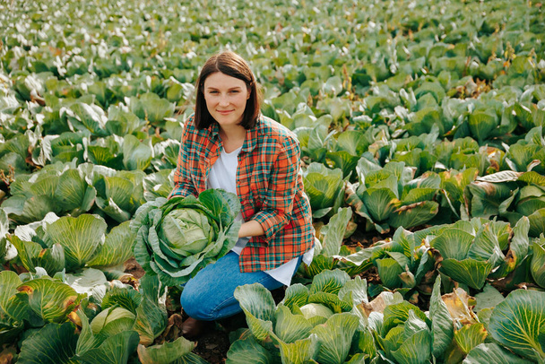 Background of a large rich vegetable field, a young woman farmer is squatting with a smile on her face. An adult girl agronomist should check the quality of the cabbage crop. - Foto, Imagen